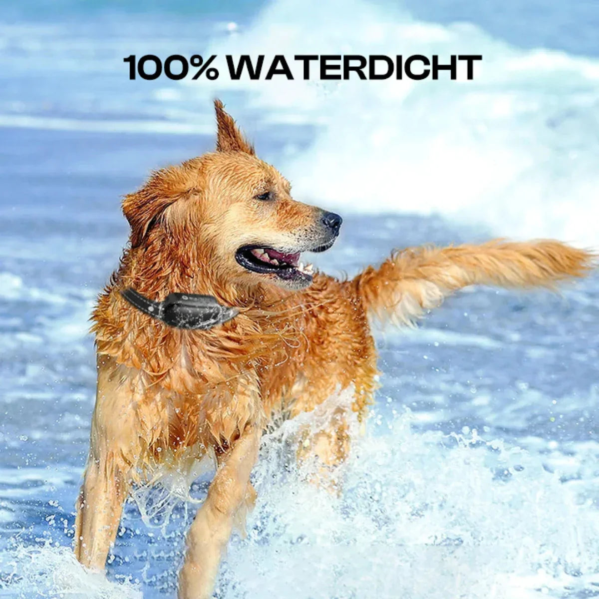 Elektrisches Hundehalsband mit Fernbedienung – Trainingshalsband mit Signalton & Vibration