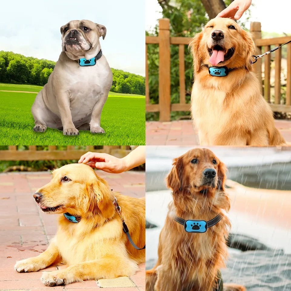 EASIBARK – Intelligentes Anti-Bell-Hundehalsband mit Schallwellentechnologie und verstellbarer Passform