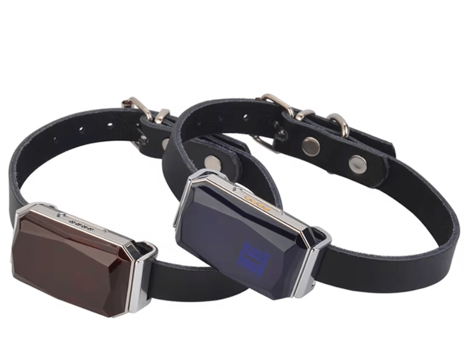 Mini GPS Tracker G12 – Echtzeit-Ortung für Fahrzeuge, Kinder & Haustiere