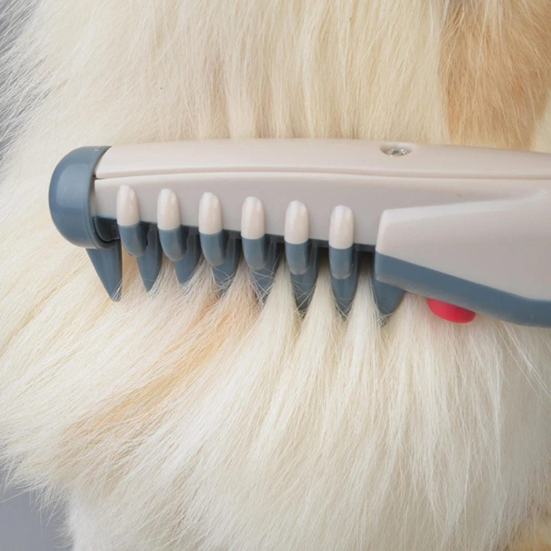 Keine Knoten und Verwicklungen mehr für Ihr Haustier