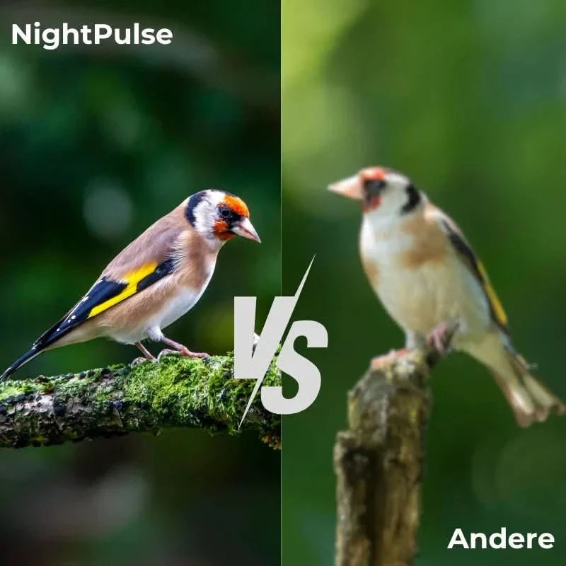 NightPulse – Nachtsicht-Fernglas mit Infrarot-Technologie für klare Sicht bei Dunkelheit