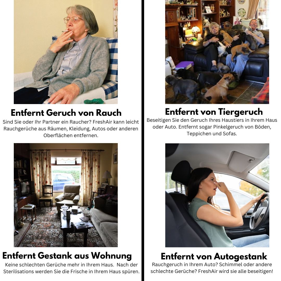 Das Original - Ozon Geruchsentferner gegen Rauch, Tiergeruch oder Gestank